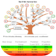 The INGR Survival Tree